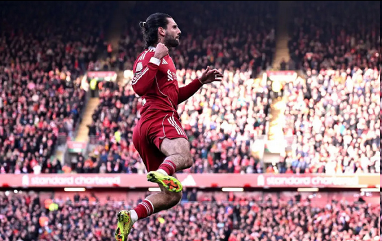 7M体育比分-索博：为什么！图尔多：不好意思，谢谢你！